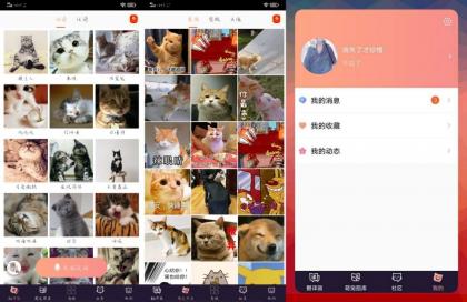最新一款可以和猫交流的安卓软件